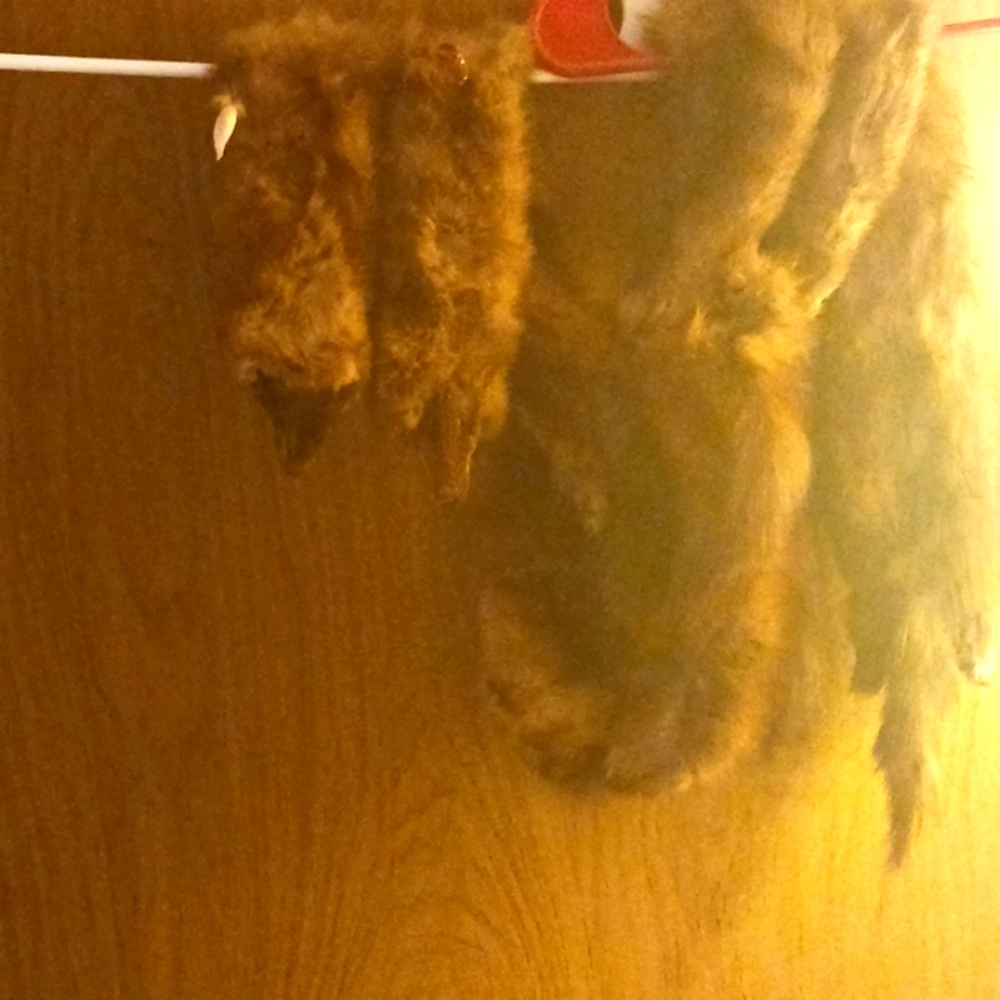 MINK SCARF, 2 MINKS ATTACHED